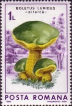 Stamp 4277