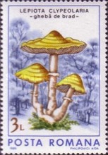 Stamp 4279