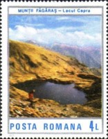 Stamp 4339