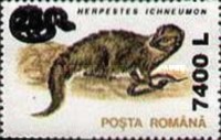 Stamp 5541