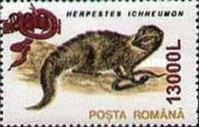 Stamp 5542