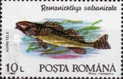 Stamp 4767