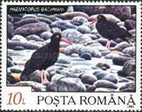 Stamp 4827