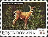 Stamp 4829