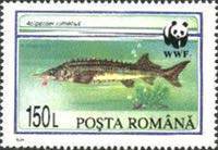 Stamp 5023