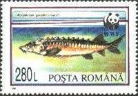 Stamp 5024