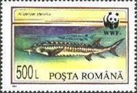 Stamp 5025