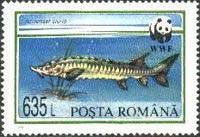 Stamp 5026