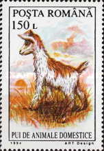 Stamp 5046