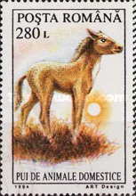 Stamp 5047