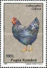 Stamp 5101