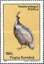 Stamp 5102