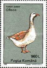 Stamp 5104