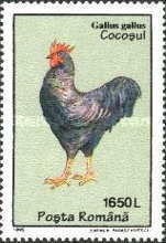 Stamp 5105