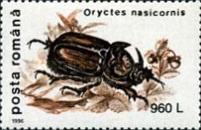 Stamp 5156