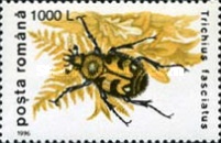 Stamp 5157