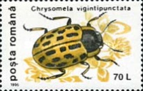 Stamp 5177