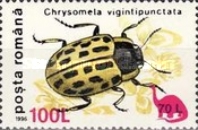 Stamp 5383