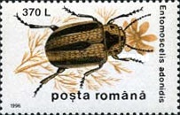 Stamp 5178