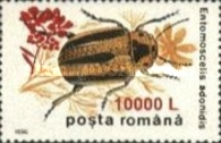 Stamp 5485