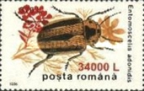 Stamp 5487