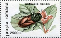 Stamp 5181