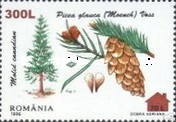 Stamp 5512