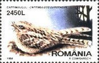 Stamp 5317