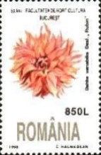 Stamp 5338