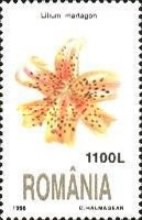 Stamp 5339