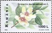 Stamp 5379