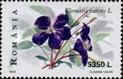 Stamp 5381