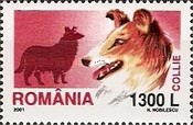 Stamp 5563