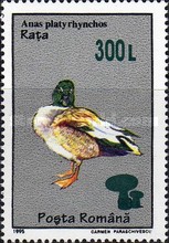 Stamp 5575