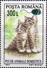 Stamp 5582