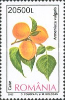 Stamp 5684