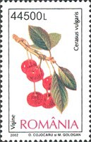 Stamp 5685