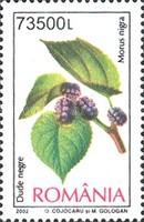 Stamp 5686