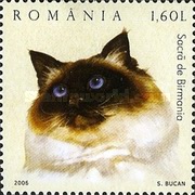 Stamp 6016