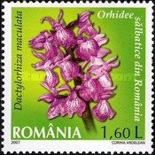 Stamp 6165