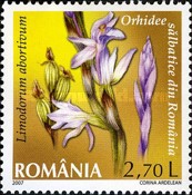 Stamp 6167