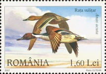 Stamp 6204