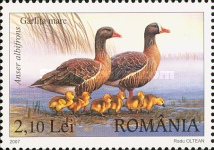 Stamp 6205