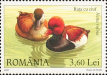 Stamp 6206