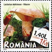 Stamp 6252