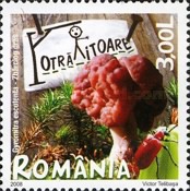 Stamp 6255