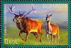 Stamp 6370