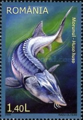 Stamp 6371