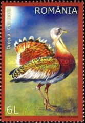 Stamp 6373