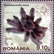 Stamp 6406